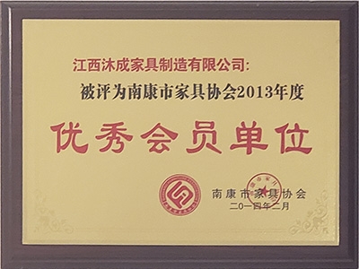 优秀会员单位